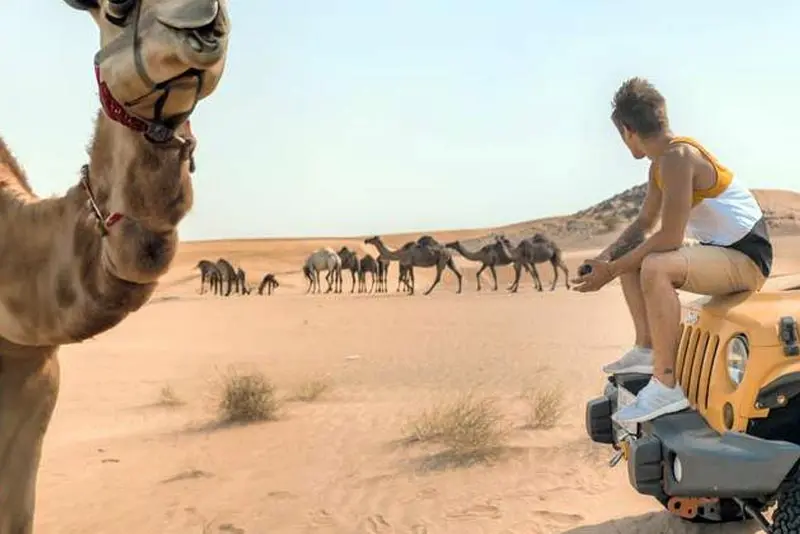 Dammam Layover Tour