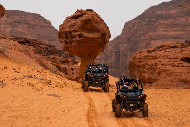 Al Ula Layover Tour