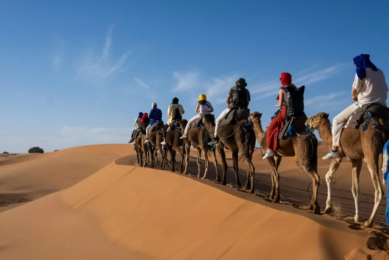 Camel Ride