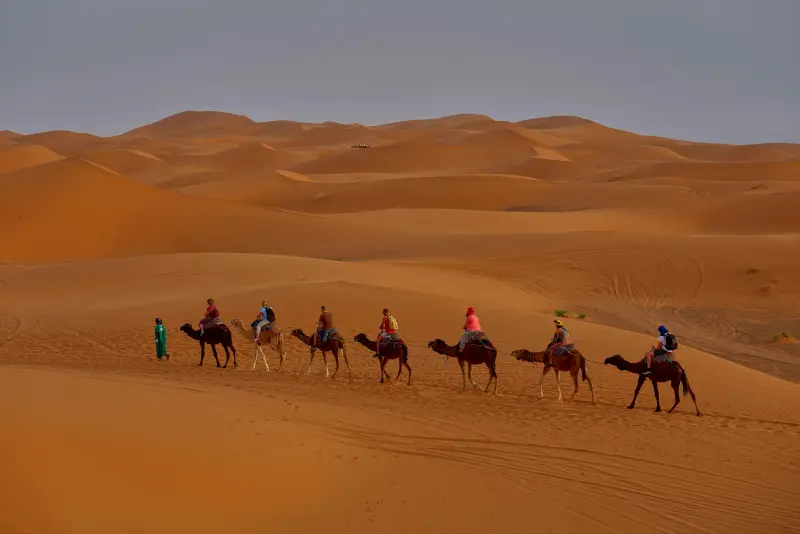 Camel Ride