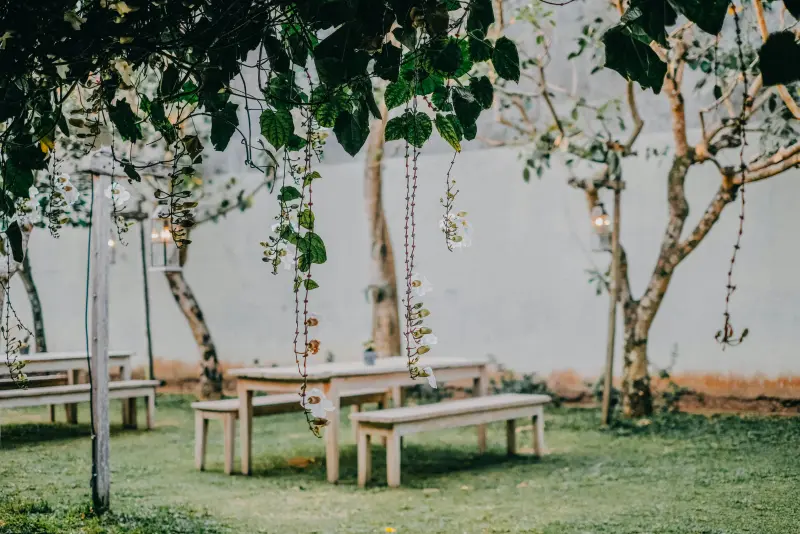 VIP Sitting Area