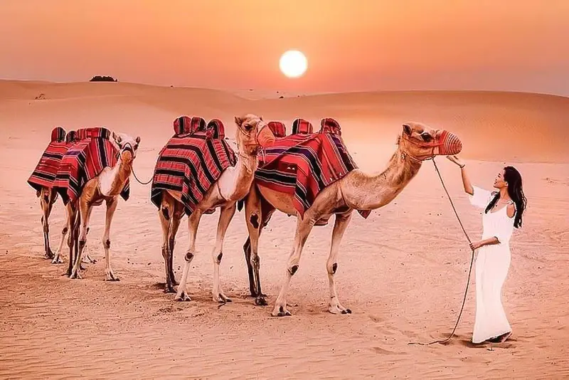 Morning Desert Safari Riyadh