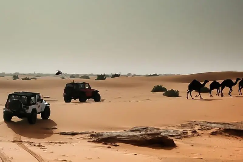 Overnight Desert Safari Riyadh