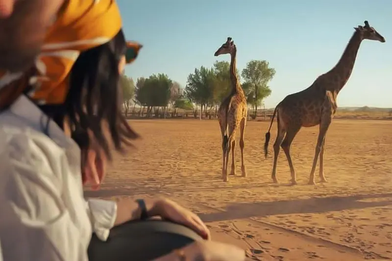 Nofa Wildlife Park Tour Riyadh