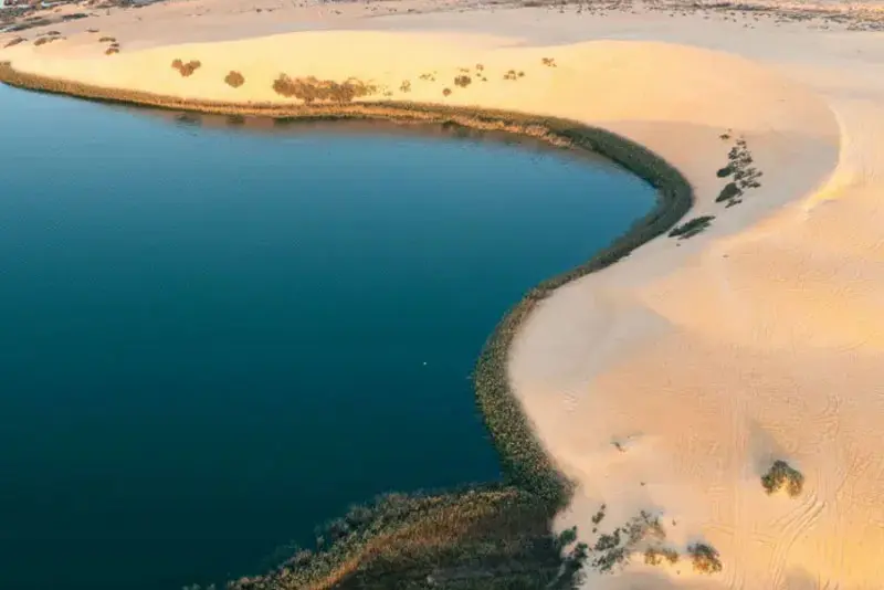 Al Ahsa Tour From Riyadh