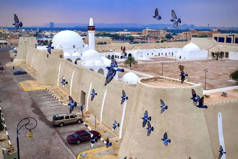 Al Ahsa Tour From Riyadh