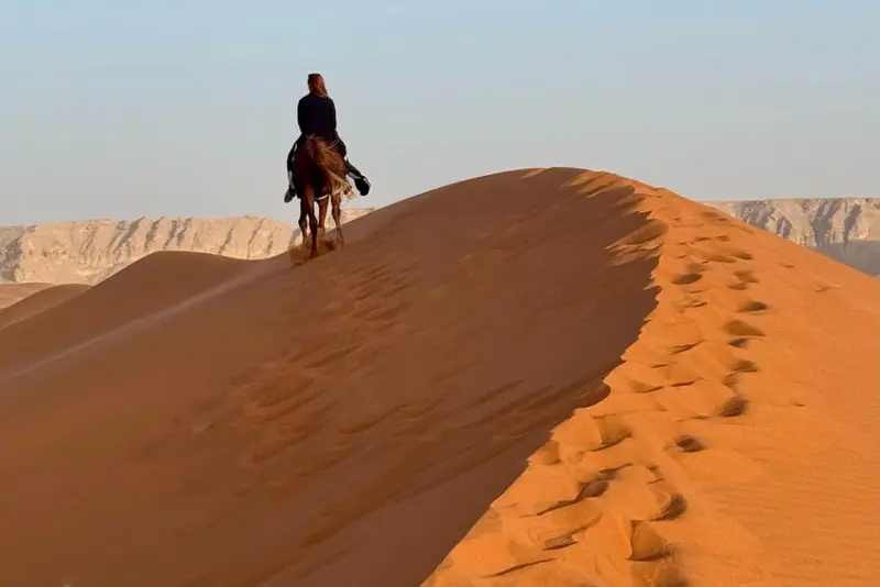 Desert Horse Riding in Riyadh