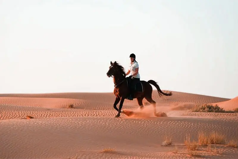 Desert Horse Riding in Riyadh