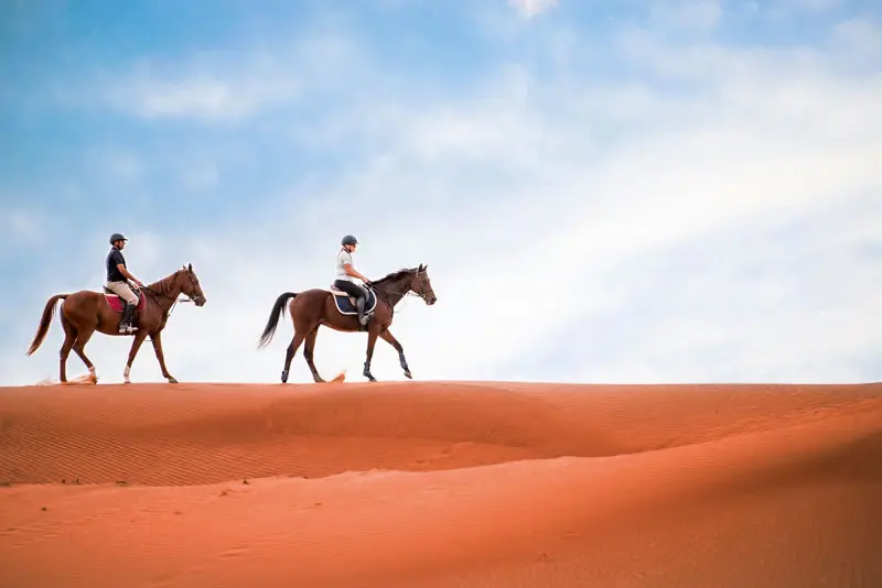 Desert Horse Riding in Riyadh