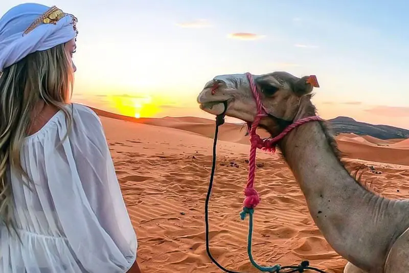 Sunrise Desert Safari Riyadh