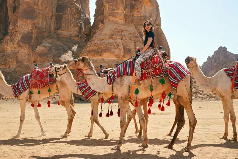 Camel Trekking in Riyadh