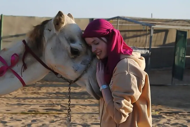 Camel Trekking in Riyadh