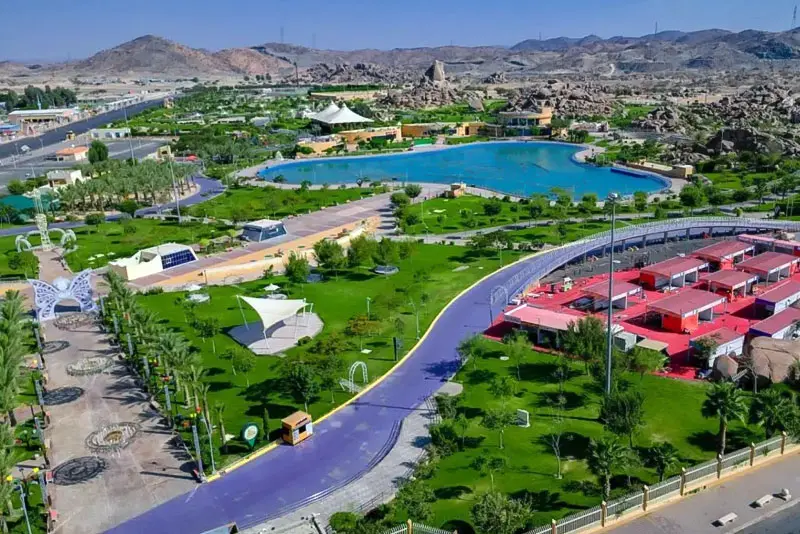 Taif Tour from Jeddah