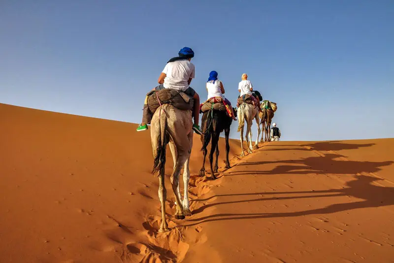 Evening Desert Safari Jeddah