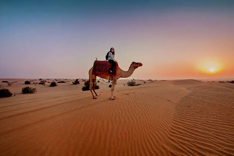 Overnight Desert Safari Jeddah