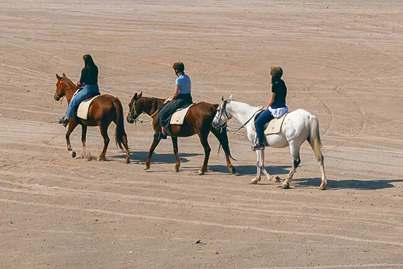 Desert Horse Riding Tour Jeddah