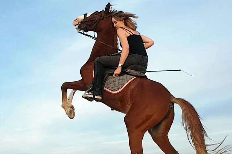 Desert Horse Riding Tour Jeddah