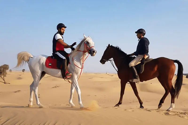 Desert Horse Riding Tour Jeddah