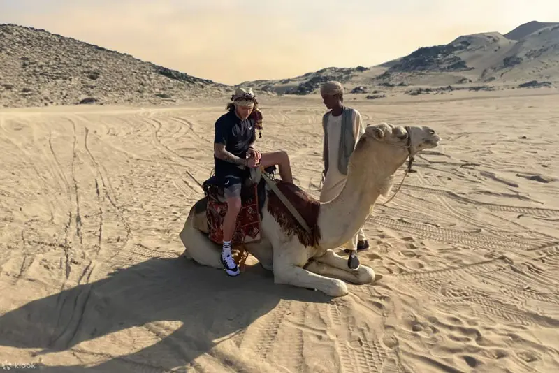 Camel Trekking Tour Jeddah