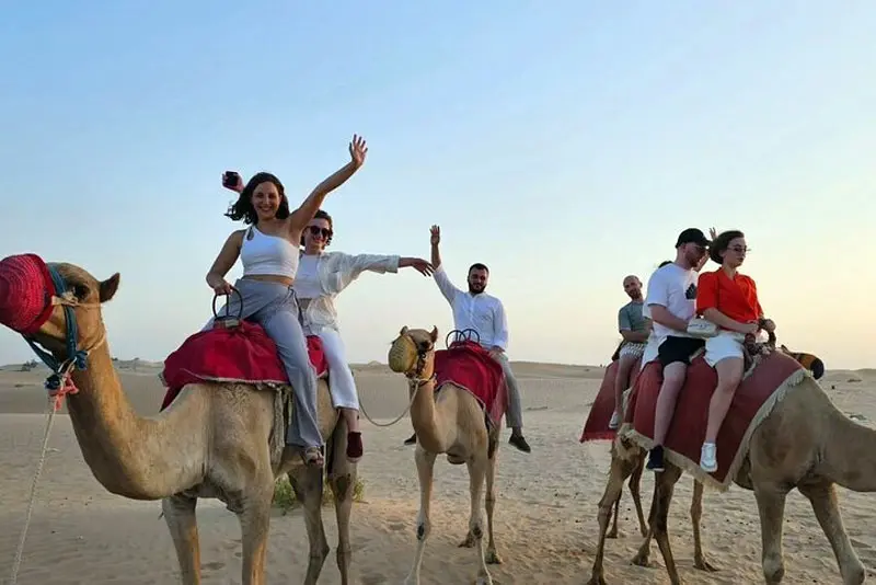 Camel Trekking Tour Jeddah