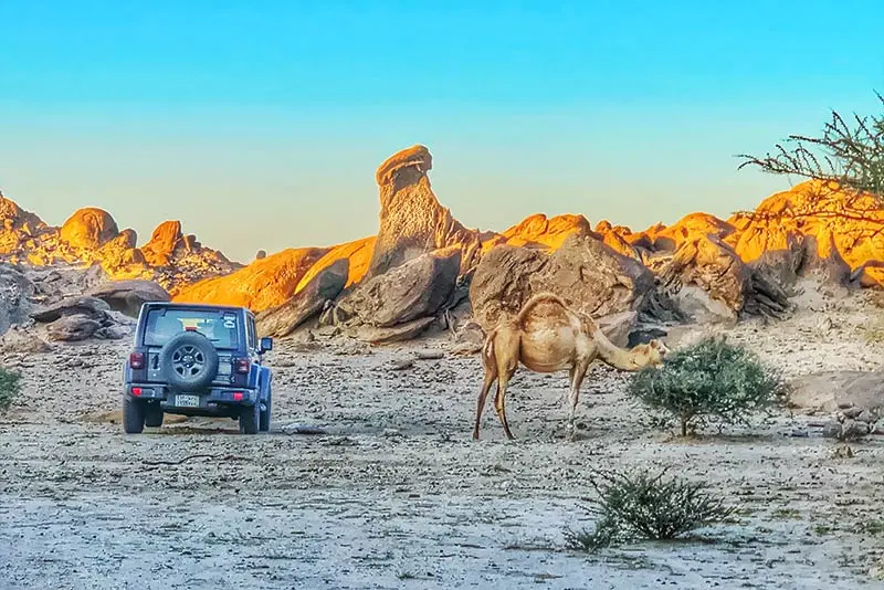 Moon Valley Tour from Jeddah