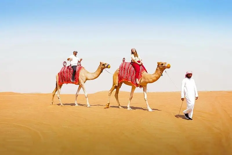 Camel Trekking Tour Dammam