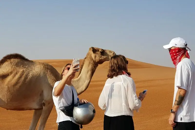 Camel Trekking Tour Dammam