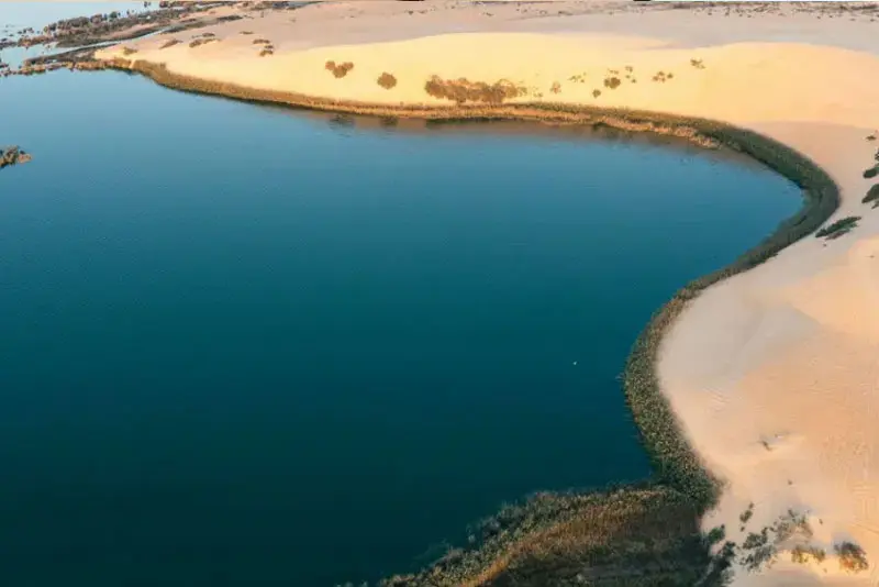 Desert Safari in Al Asfar Lake