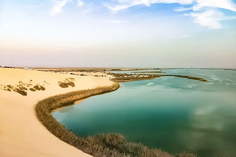 Private Dune Dinner in Al Asfar Lake