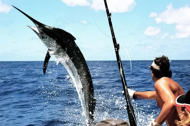 Deep Sea Fishing in Dammam & Al Khobar