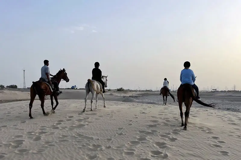 Horse Riding Tour Dammam & Al Khobar