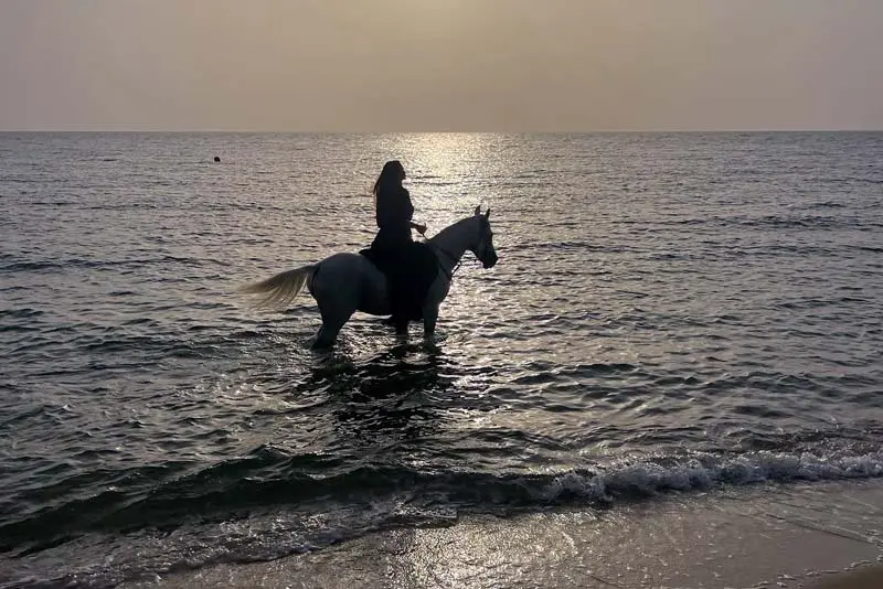 Horse Riding Tour Dammam & Al Khobar