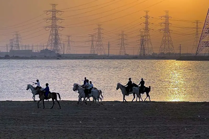 Horse Riding Tour Dammam & Al Khobar