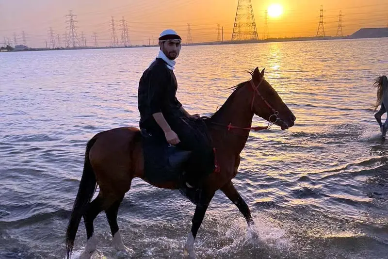 Horse Riding Tour Dammam & Al Khobar