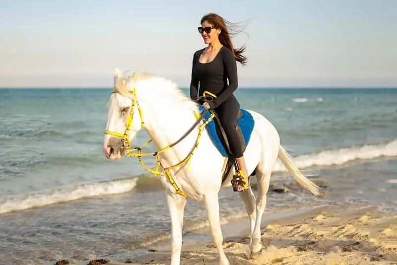 Horse Riding Tour Dammam & Al Khobar