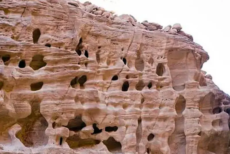Al Ukhdood Archaeological Tour