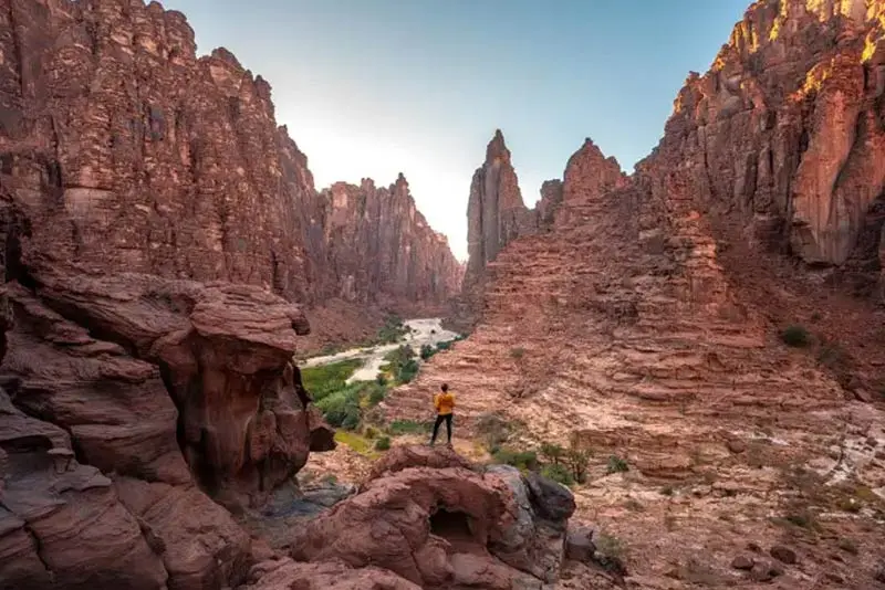 Wadi Al Disah Tour
