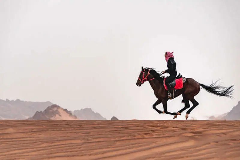 Horse Ride Tour Al Ula