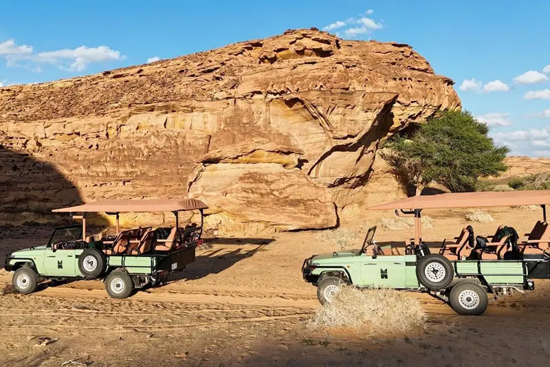 Hegra Wildlife & Nature Tour Al Ula