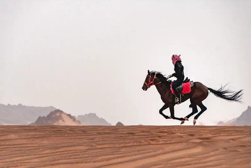 Desert Horse Riding in Riyadh