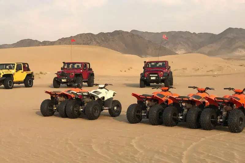 Evening Desert Safari Jeddah