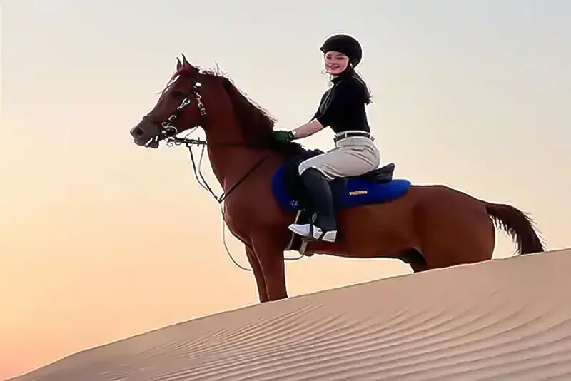 Desert Horse Riding Tour Jeddah