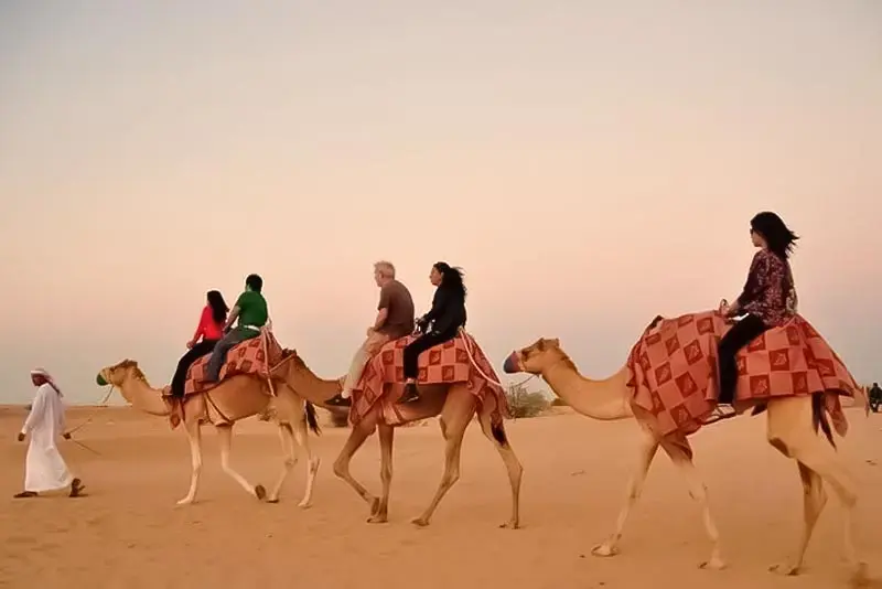 Camel Trekking Tour Dammam