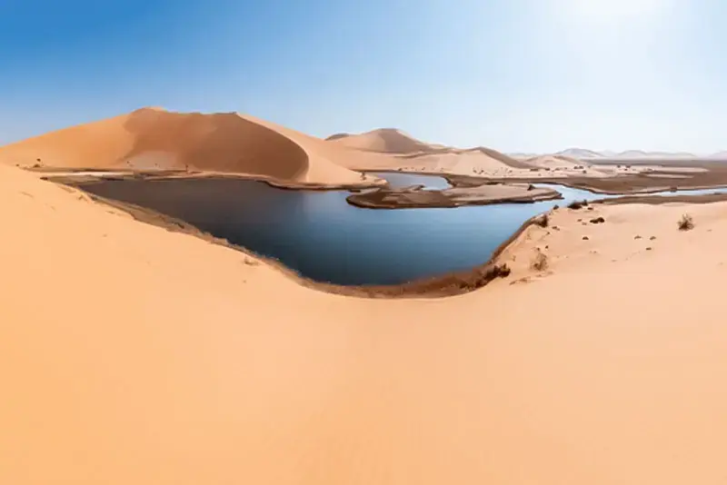Desert Safari in Al Asfar Lake