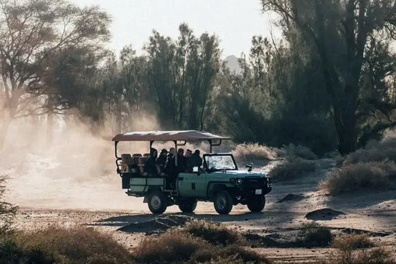 Hegra Wildlife & Nature Tour Al Ula
